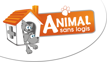 Animal sans logis
