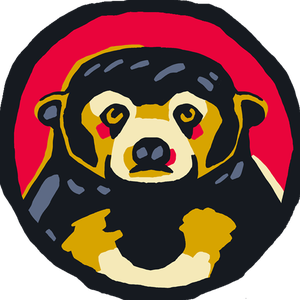 Suun_bear